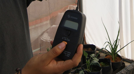 Luz Perfecta: Uso Eficiente del Luxómetro en Agricultura