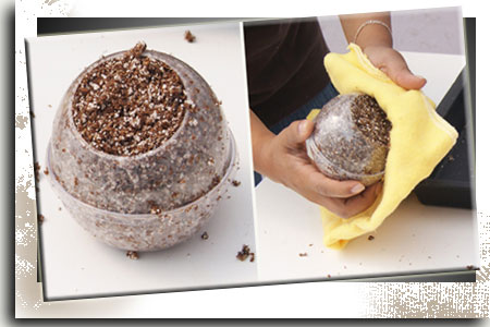 Cultivo de lechuga en envases reutilizables