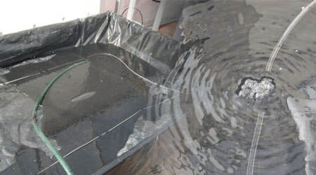 Llenado y Prueba de Oxigenacion