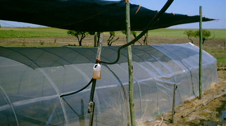 Protección con malla sombra