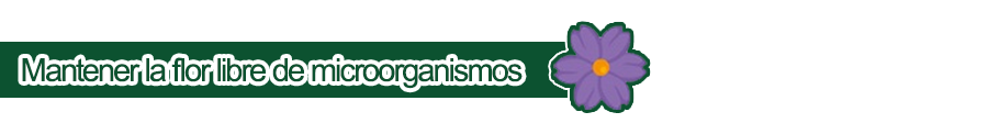 Flor Libre de Microorganismos