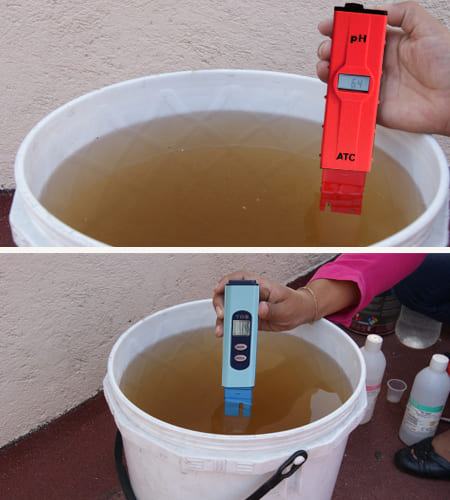 Medir pH y EC en solución nutritiva para hidroponía