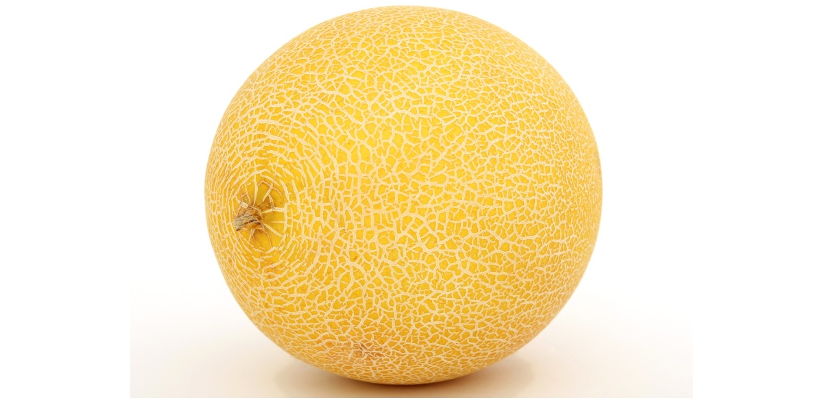 Melon amarillo