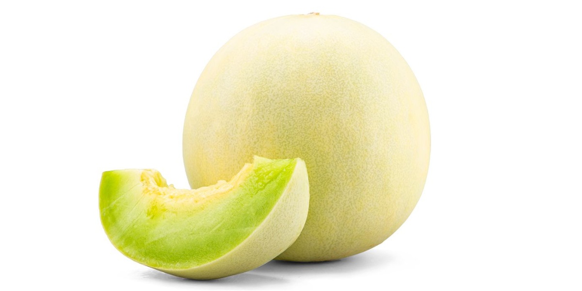 Melon tuna