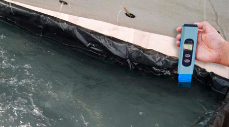 Midiendo EC en Raíz Flotante