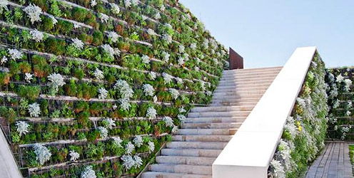 Instalación de muros verdes en arquitectura