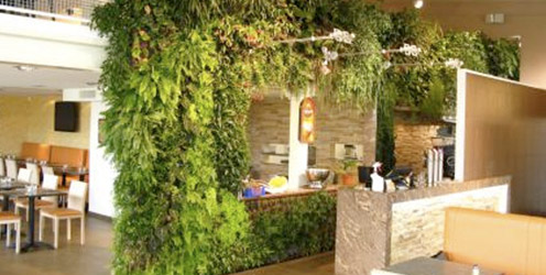 Muro verde, aplicaciones en arquitectura