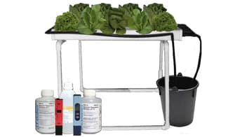 sistema NFT hydroenvironment