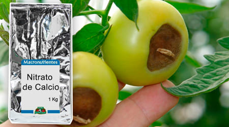 Fertilizante abono Nitrato de Calcio Macro Micro nutrientes macronutriente para soluciones nutritivas hidropónicas elaboración de nutrientes hidropónicos para plantas por hidroponia por kilogramo