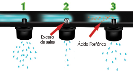 Obstruccion del Sistema de Riego por Sales