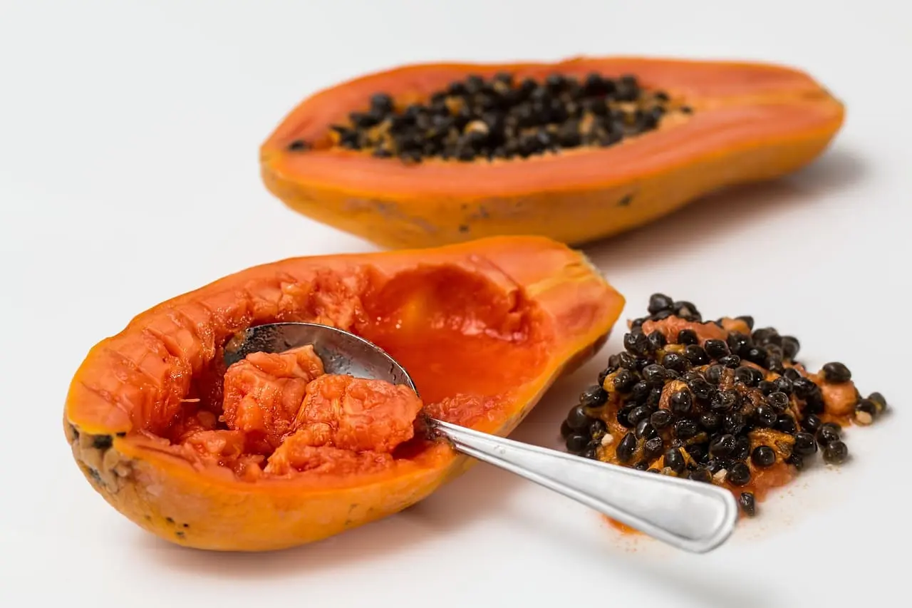papaya fruto hydroenviroment
