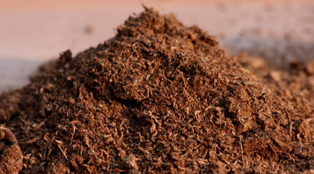 Peat Moss