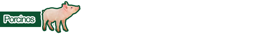 Porcinos