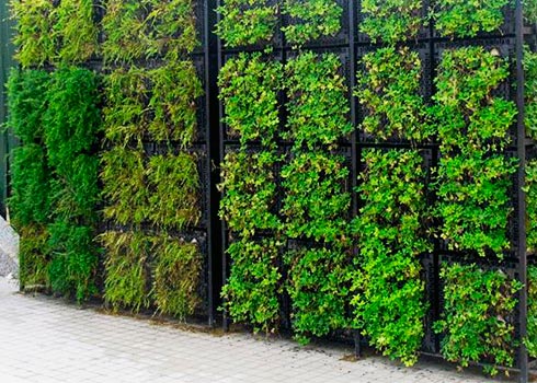 Guía: Instalación de sistema de riego para muro verde.