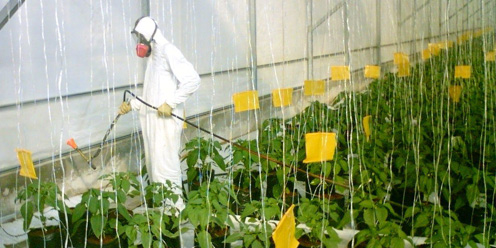 Tabla de aplicación de Insecticidas, Bactericidas y Fungicidas