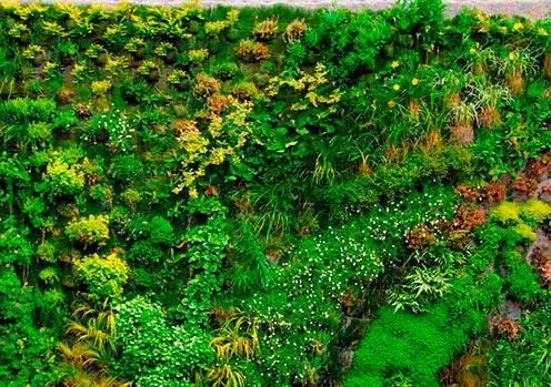 Muros Verdes