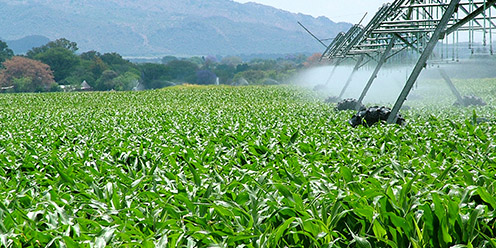 Guía: Correctores y acondicionadores de suelo y agua