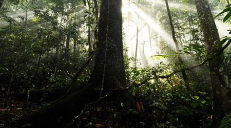 luz natural