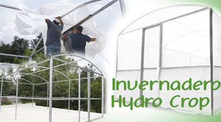 Invernadero Hydro Crop