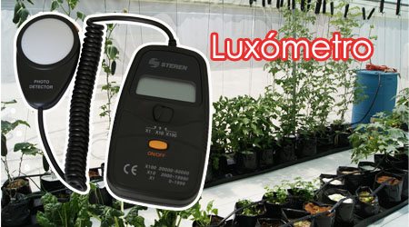 Luxómetro
