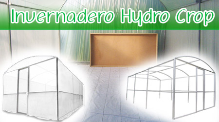 Invernadero Hydrocrop