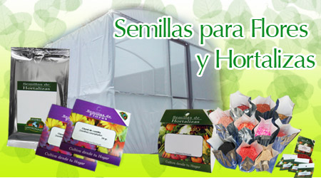 Semillas para flores y hortalizas