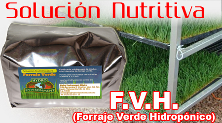 Solución FVH