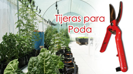 Tijeras para poda