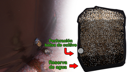 Reserva Agua