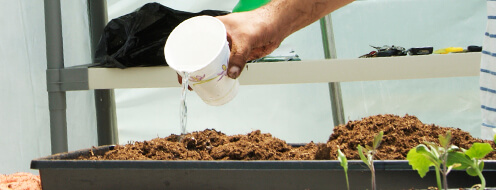 Riego Peat Moss