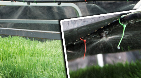 Riego por nebulización para producir forraje verde hidropónico 