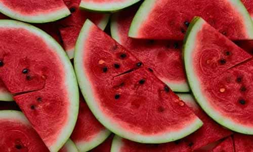 Sandia Cultivo