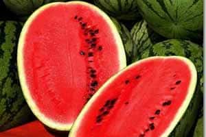 Sandia Diploide