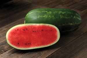 Sandia Melona