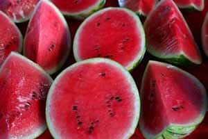 Sandia Redonda