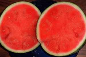 Sandia Sin Semilla