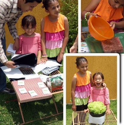 Familia utilizando paquetes de hidroponía casera