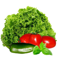 lechuga, chile y jitomate