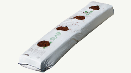 Slabs de fibra de coco sustratos hidropónicos 