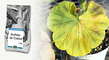 Sulfato de cobre para plantas fertilizante macro nutriente macronutriente asufre y cobre para plantas abono fertilizante solido