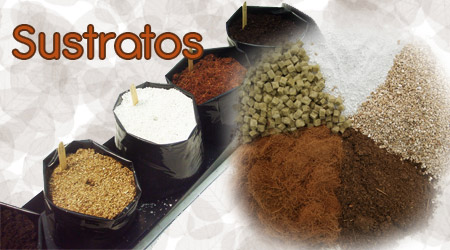 Cultivo en sustratos hidropónicos: Guía definitiva