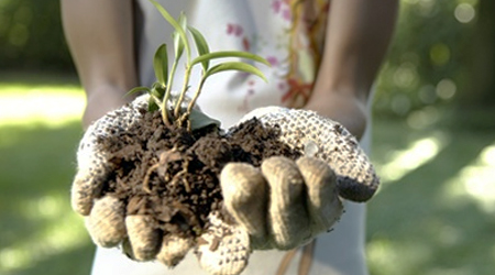 Guía: Tecnificación de un cultivo para la Siembra