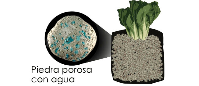 piedra porosa con agua
