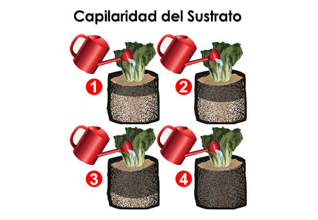 paso de la retencion de liquidos en una bolsa con sustrato