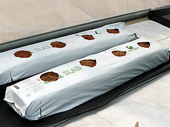 Reposo de Slabs de Fibra de coco