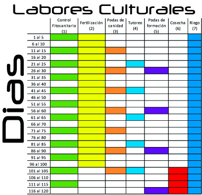 Proceso de germinación