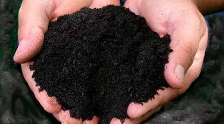Tierra Negra