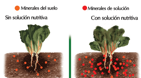 Tierra con Minerales