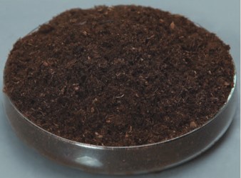 turba negra