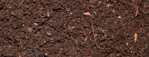 Turbas Negras